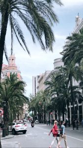 Valencia-streets-hotpots
